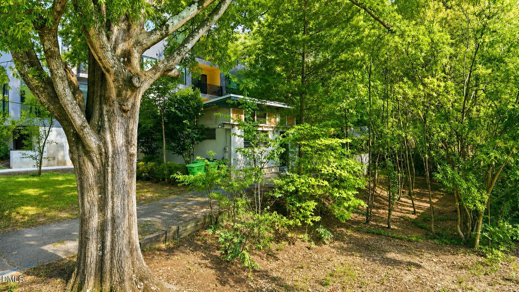 Sideyard - 2205 Garden Place, Raleigh, NC 27607, Raleigh