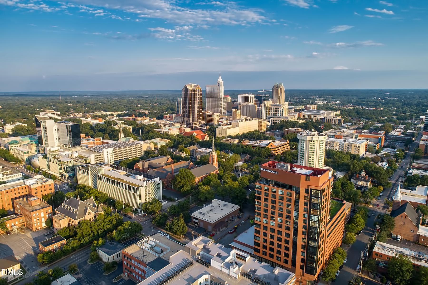 DTR picture - 2205 Garden Place, Raleigh, NC 27607, Raleigh