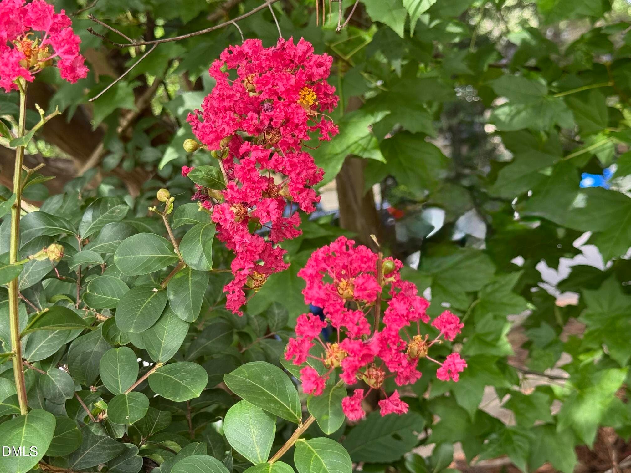 Beauty All Around - 8901 Castleton Lane, Raleigh, NC 27615, Raleigh