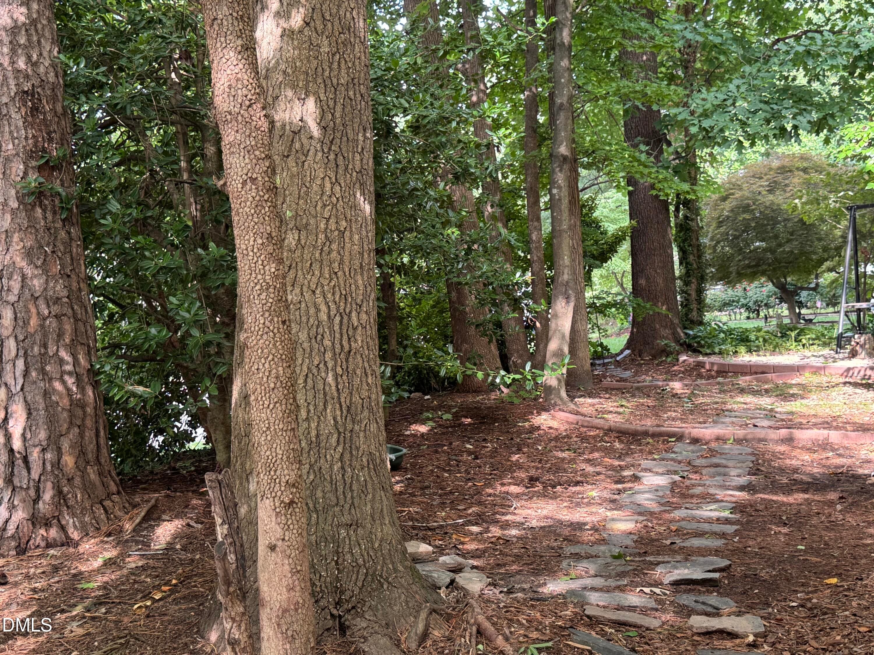 Garden Shade And Sun - 8901 Castleton Lane, Raleigh, NC 27615, Raleigh