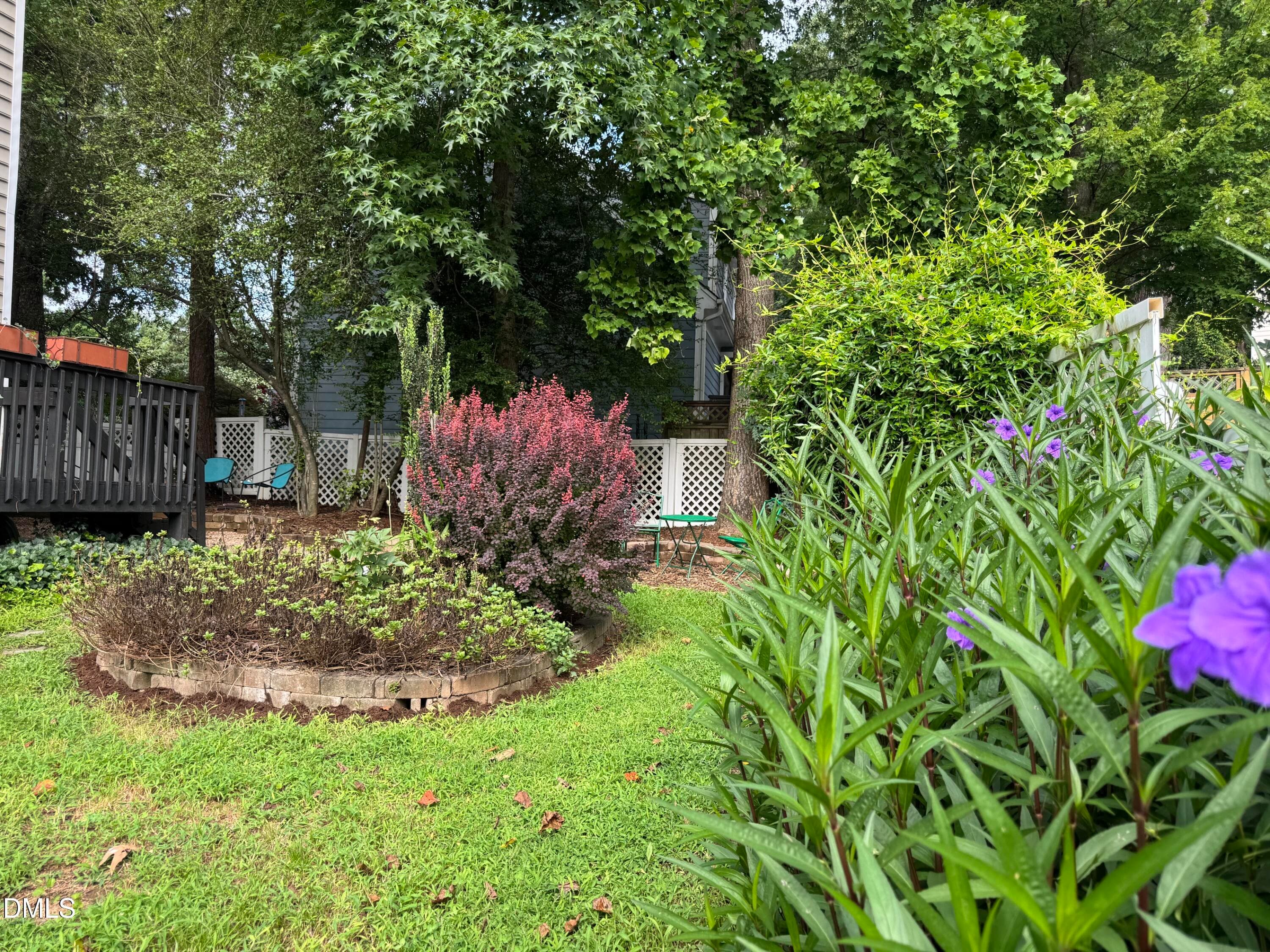 Perennial Color In Bloom - 8901 Castleton Lane, Raleigh, NC 27615, Raleigh