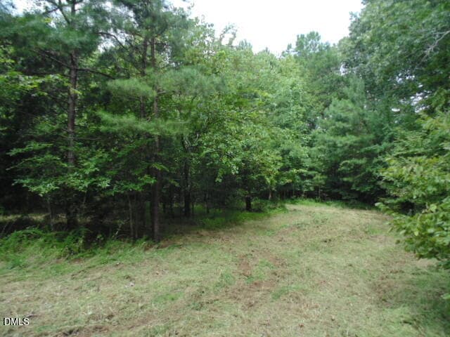 DSC06920-DESKTOP-8UA5R2A - 0 Kerr Lake Road, Henderson, NC 27537