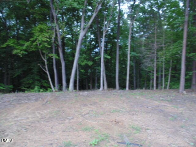 DSC07069 - 0 Kerr Lake Road, Henderson, NC 27537