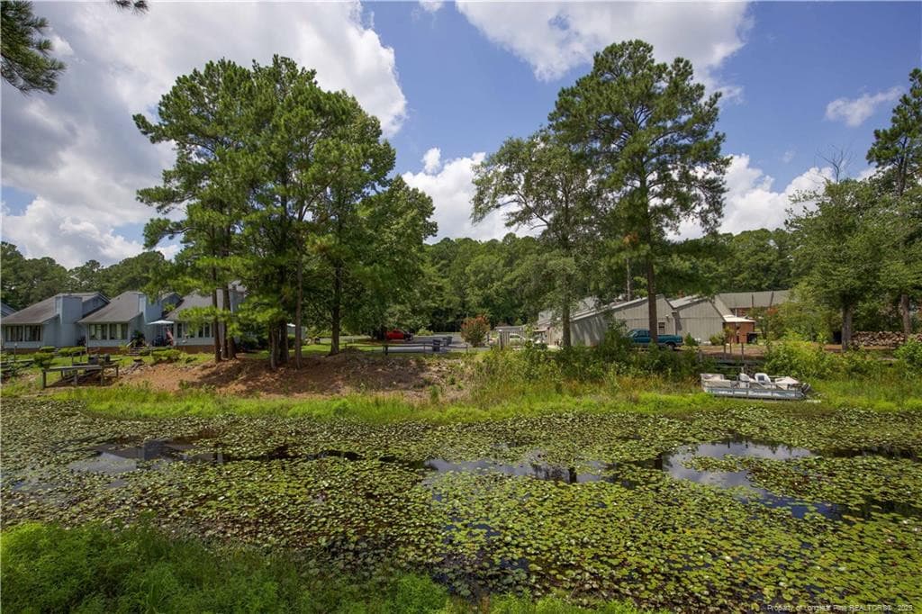 Photo 36 - 179 Cranes Cove, Vass, NC 28394, Vass