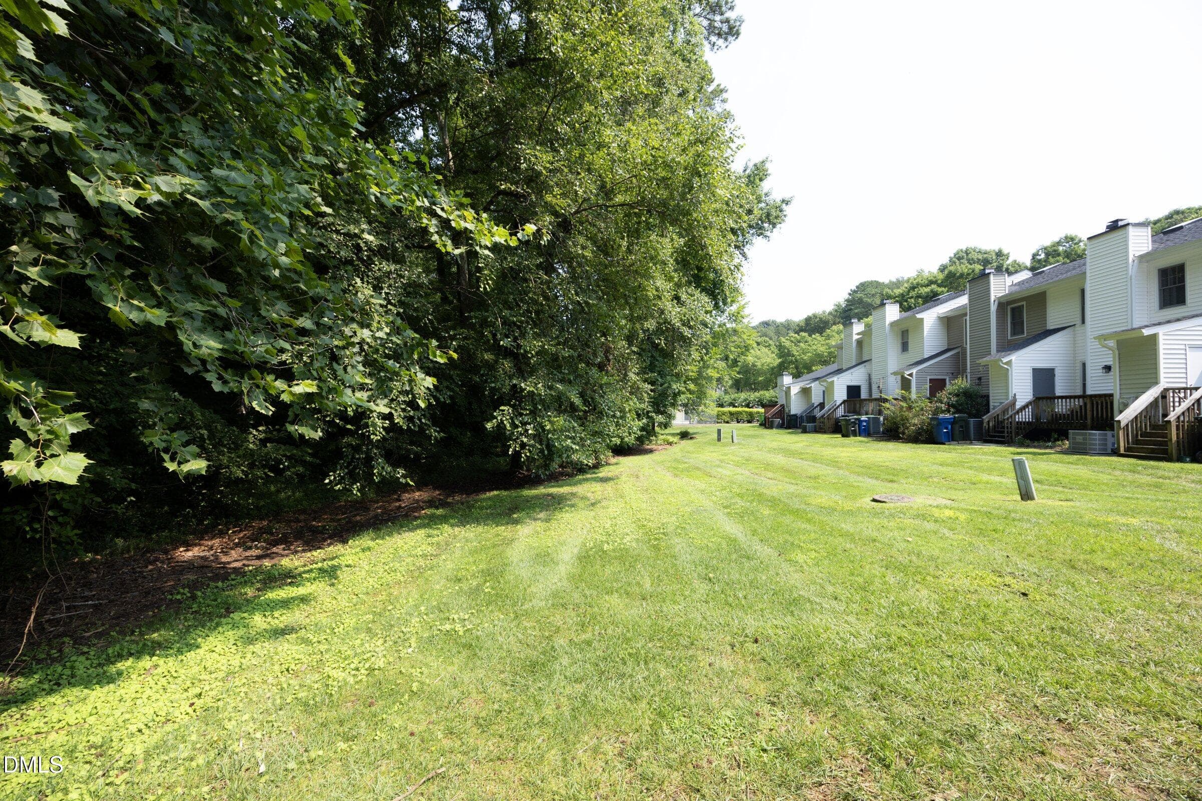 32BackGrass - 4636 Townesbury Lane, Raleigh, NC 27612, Raleigh