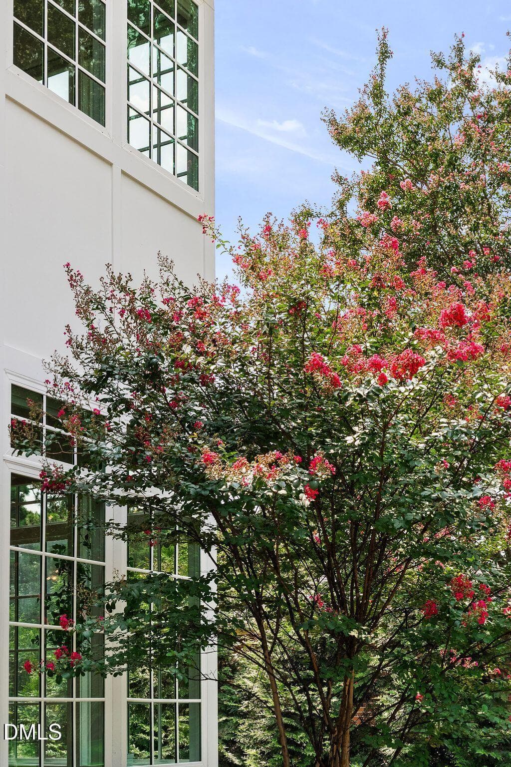 mls_DSC01542 - 4816 Sweetbriar Drive, Raleigh, NC 27609, Raleigh
