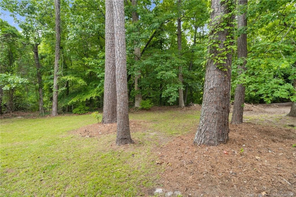 Photo 36 - 744 Buena Vista Drive, Fayetteville, NC 28311, Fayetteville