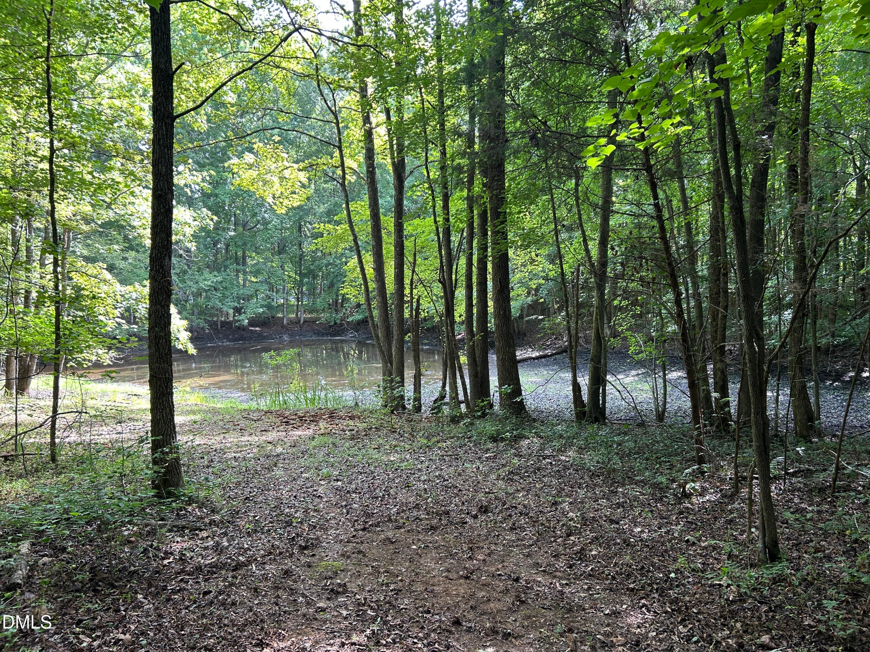Pondview - 3917 Lebanon Road, Efland, NC 27243