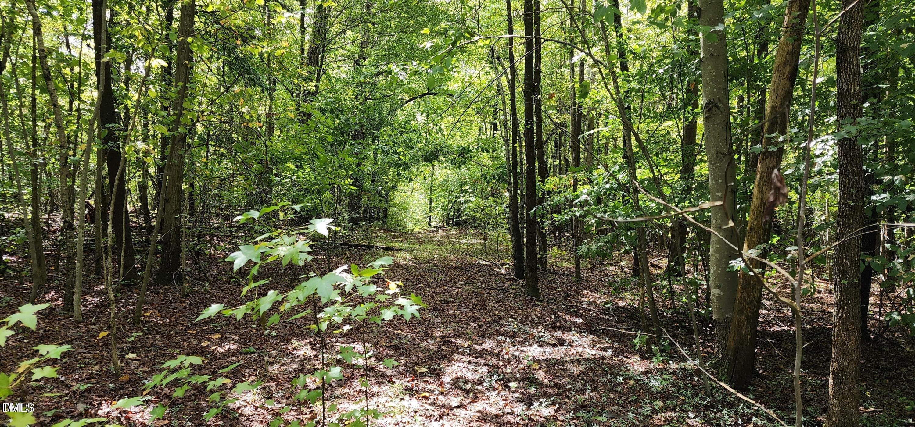 MillCreek-pic2 - 4501 Lot 1 Mill Creek Road, Cedar Grove, NC 27231