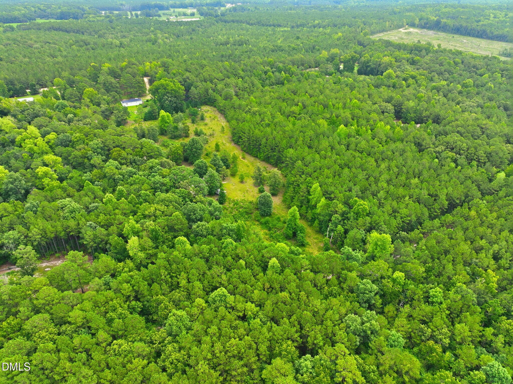 13-web-or-mls-DJI_0325 - 1025 Mike Williams Lane, Bunnlevel, NC 28323