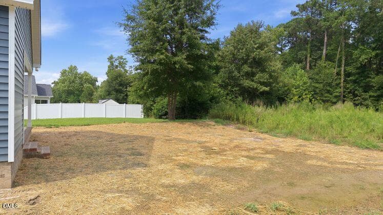 Back Yard - 3209 Dolostone Court SW, Wilson, NC 27893