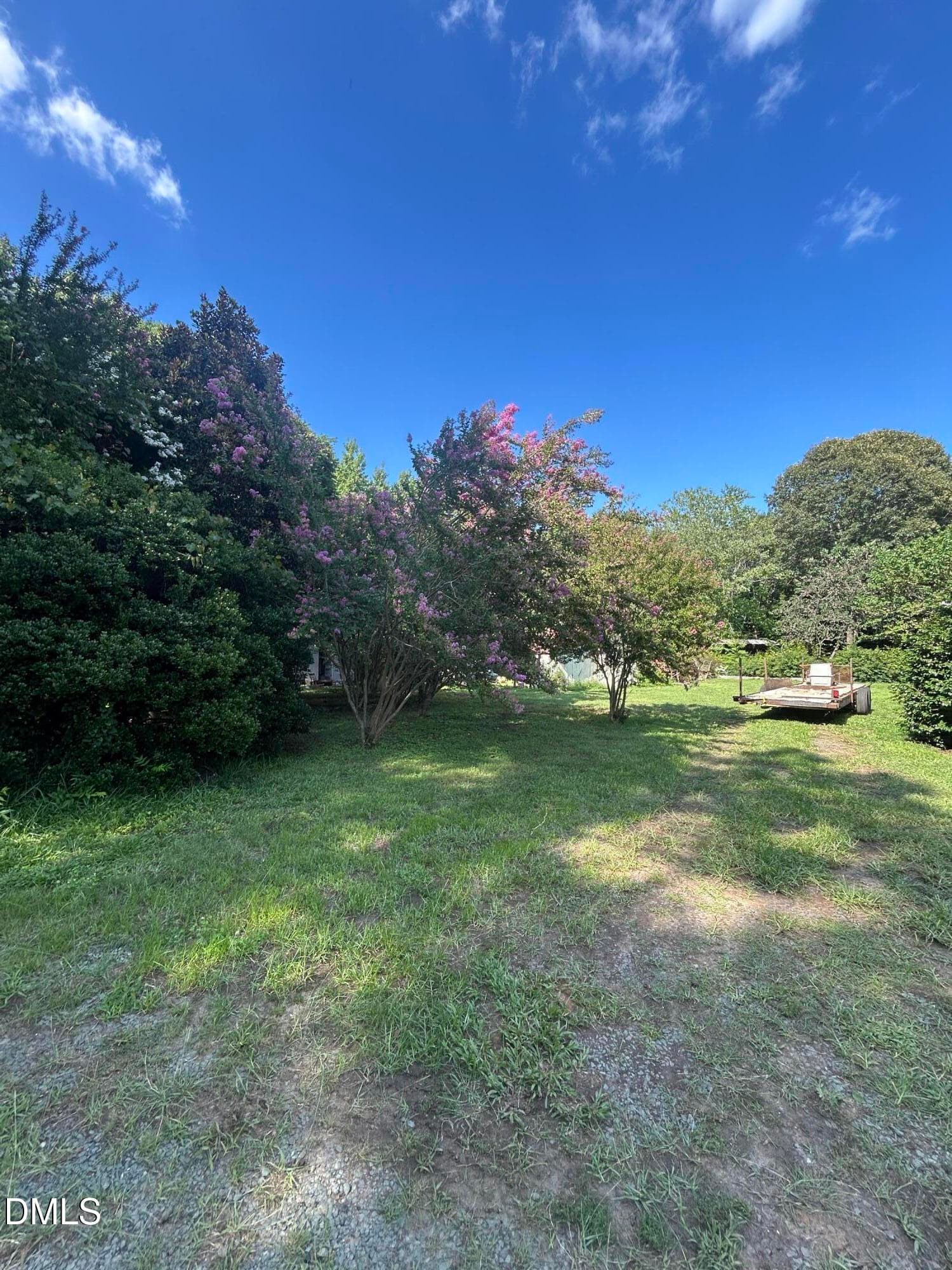 Leftside of property - 3917 Lebanon Road, Efland, NC 27243