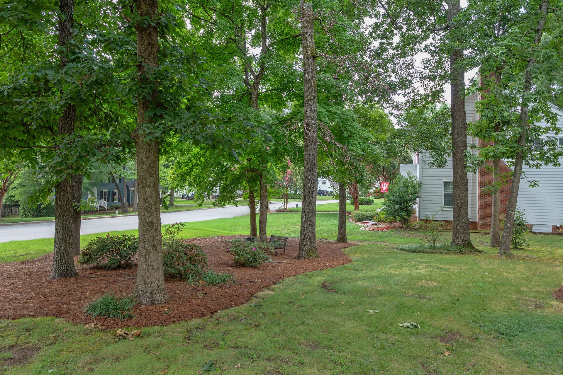 Yard - 1001 Lantern Light Court, Apex, NC 27502
