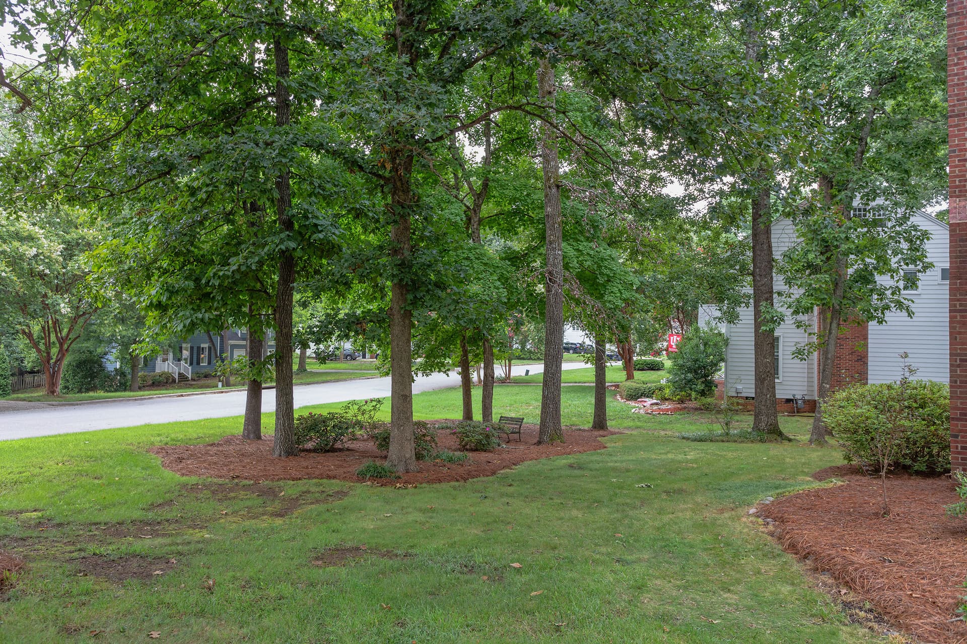 Yard - 1001 Lantern Light Court, Apex, NC 27502