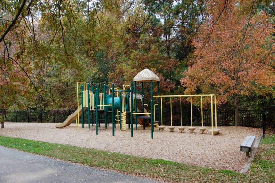 Playground - 1001 Lantern Light Court, Apex, NC 27502