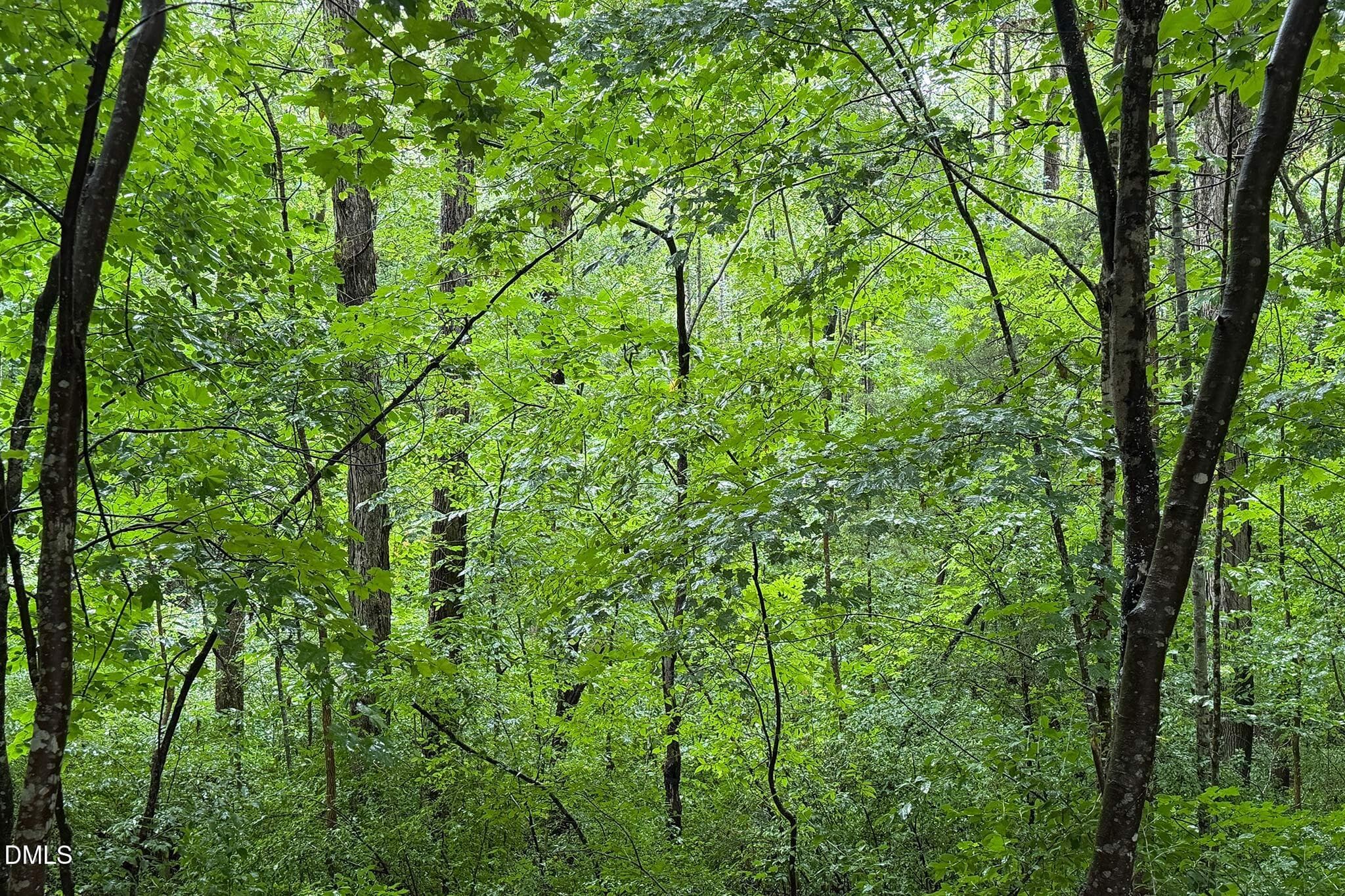InRain-2 - 1001 Reaves Drive, Chapel Hill, NC 27516, Chapel Hill