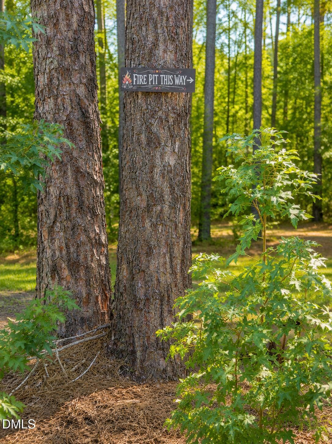 to the firepit - 138 Ottawa Drive, Louisburg, NC 27549, Louisburg