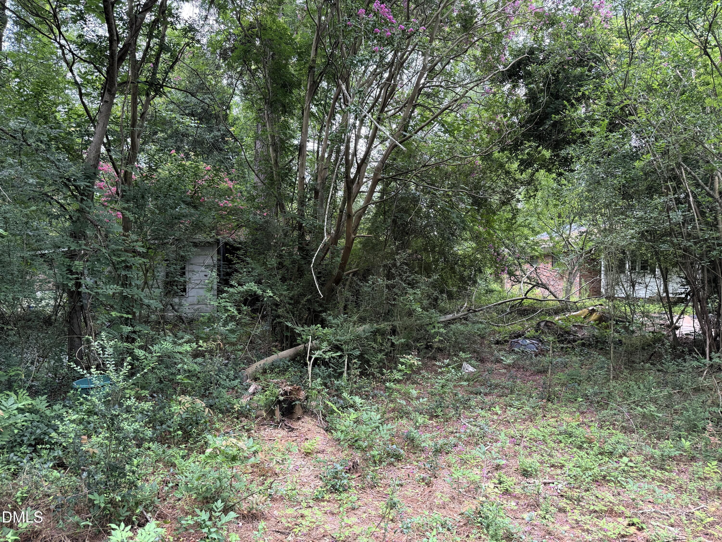 House Side View - 1755 Bunnlevel Erwin Road, Bunnlevel, NC 28323