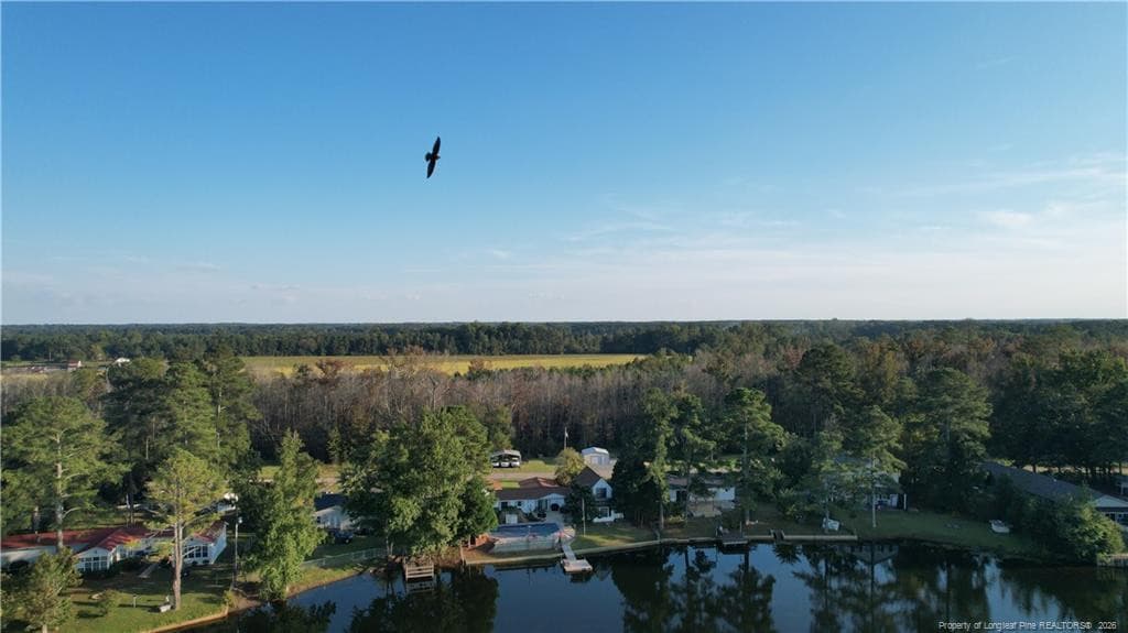 Photo 46 - 7823 Lucinda Lane, Linden, NC 28356