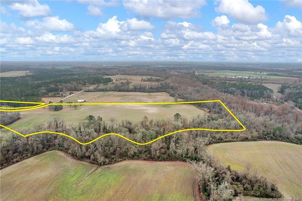 Photo 2 - Pittman Loop Road, Fairmont, NC 28364