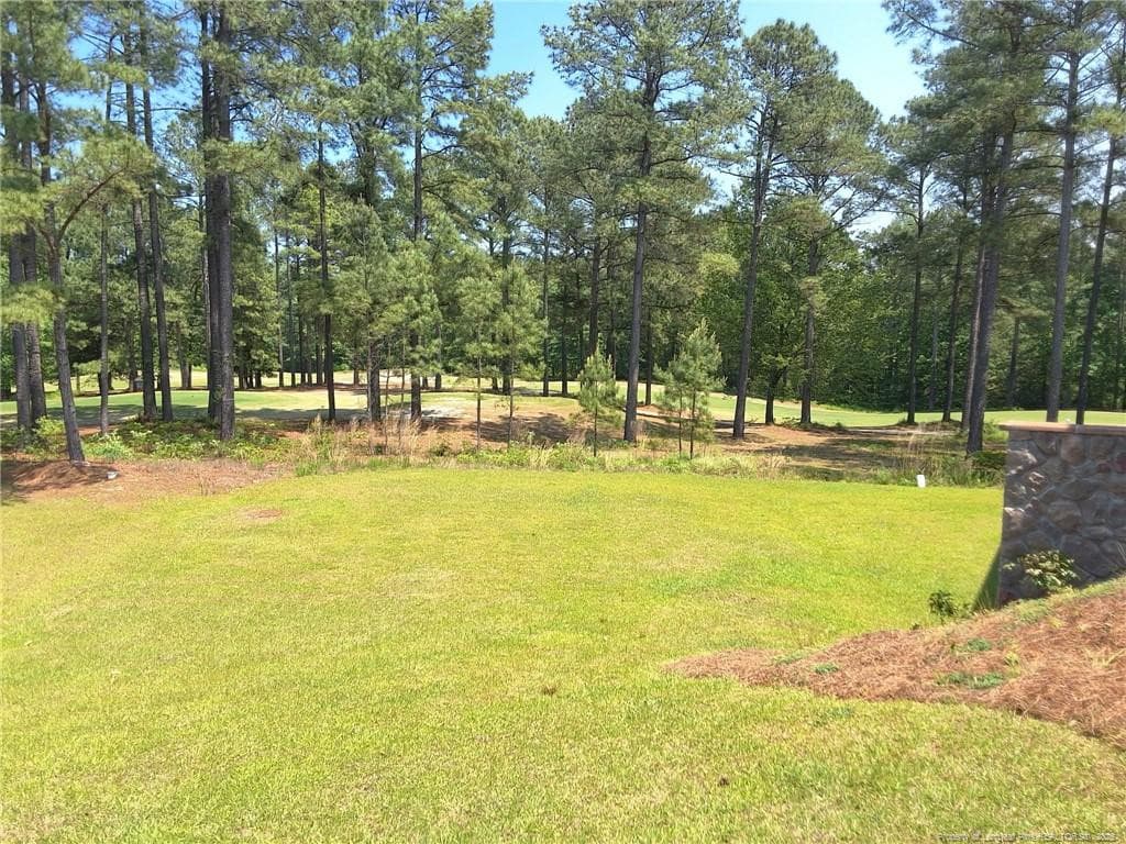 Photo 34 - 260 Gallery Drive, Spring Lake, NC 28390