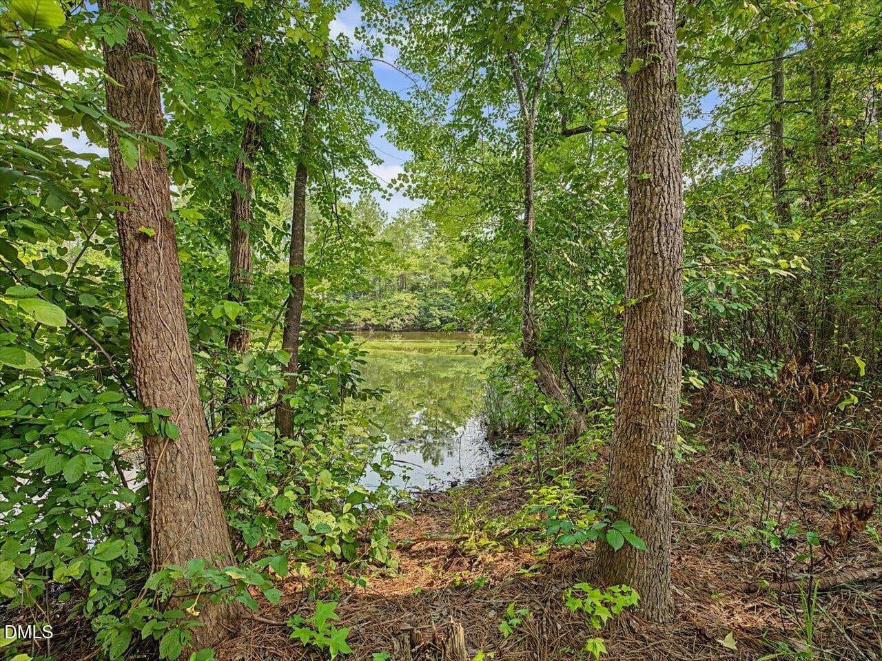 76-Pond - 4344 Prairie Creek Trail, Raleigh, NC 27616, Raleigh