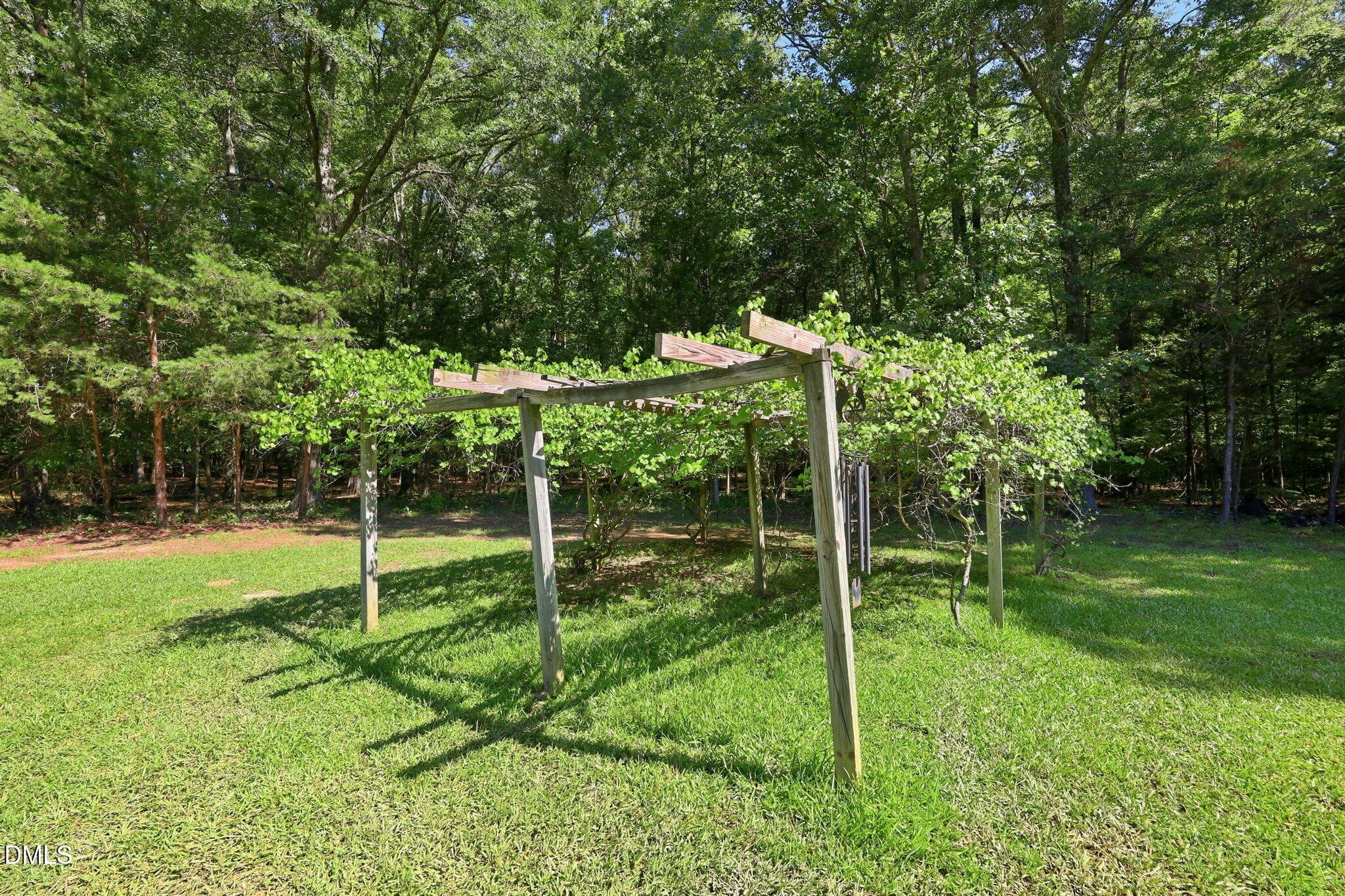 Vineyard Trellis - 2101 Waterwheel Road, Hurdle Mills, NC 27541