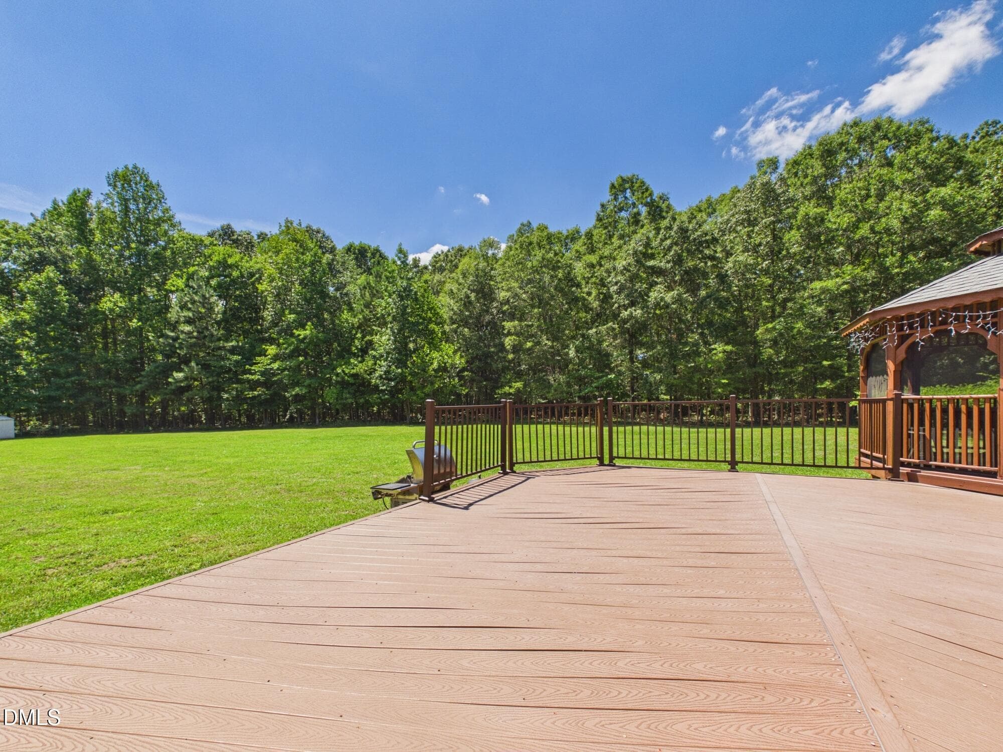 Deck view - 2101 Waterwheel Road, Hurdle Mills, NC 27541