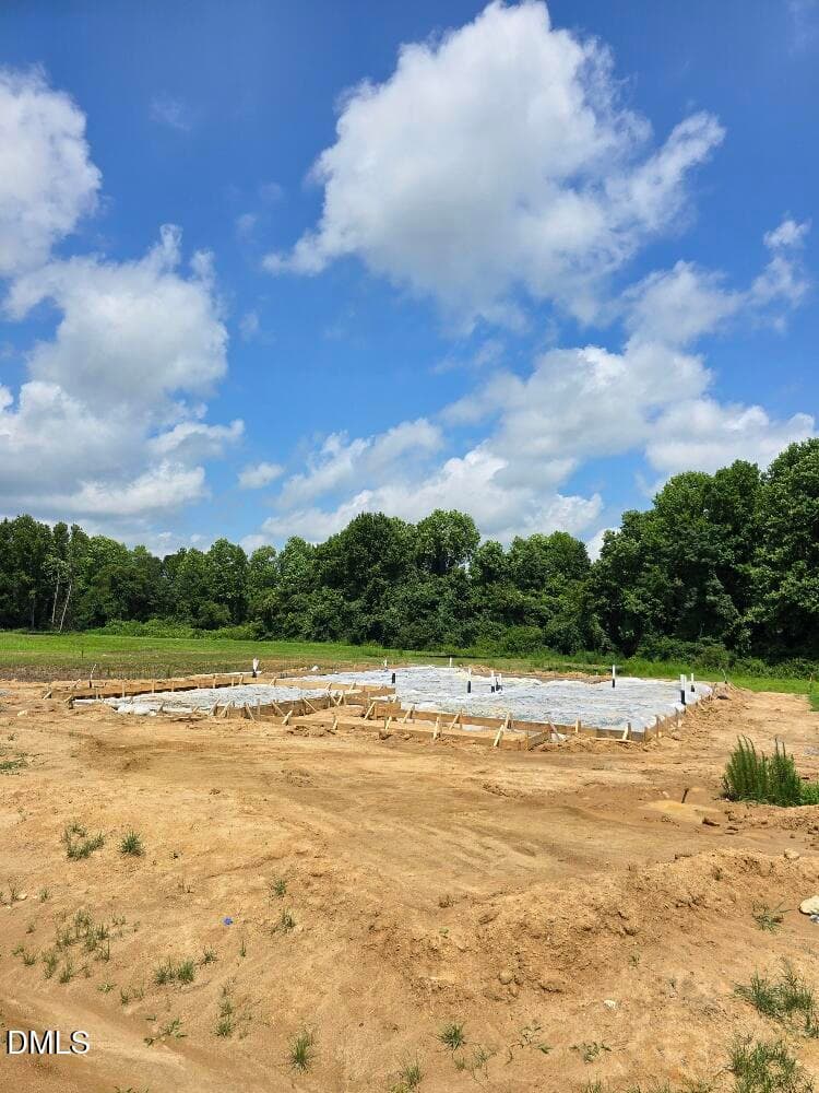Margot Manor Lot 100 (5) - 297 Margot Manor Drive, Benson, NC 27504