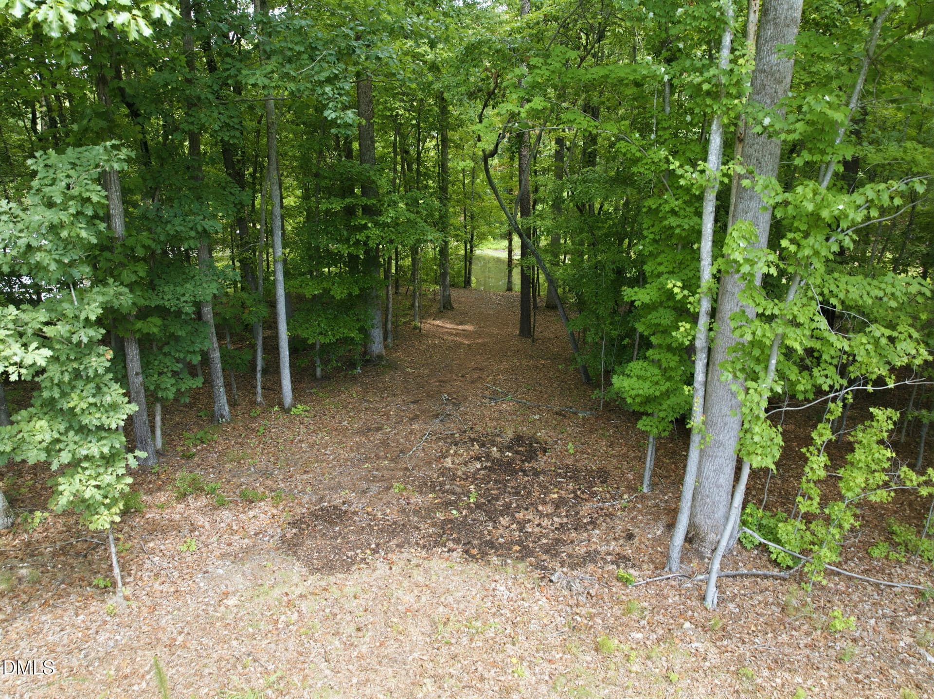Path To Pond - 222 American Court, Apex, NC 27523