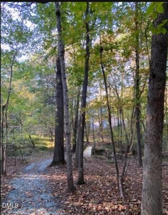 Trail from Henderson Place through Fearr - 4235 Henderson Place, Pittsboro, NC 27312