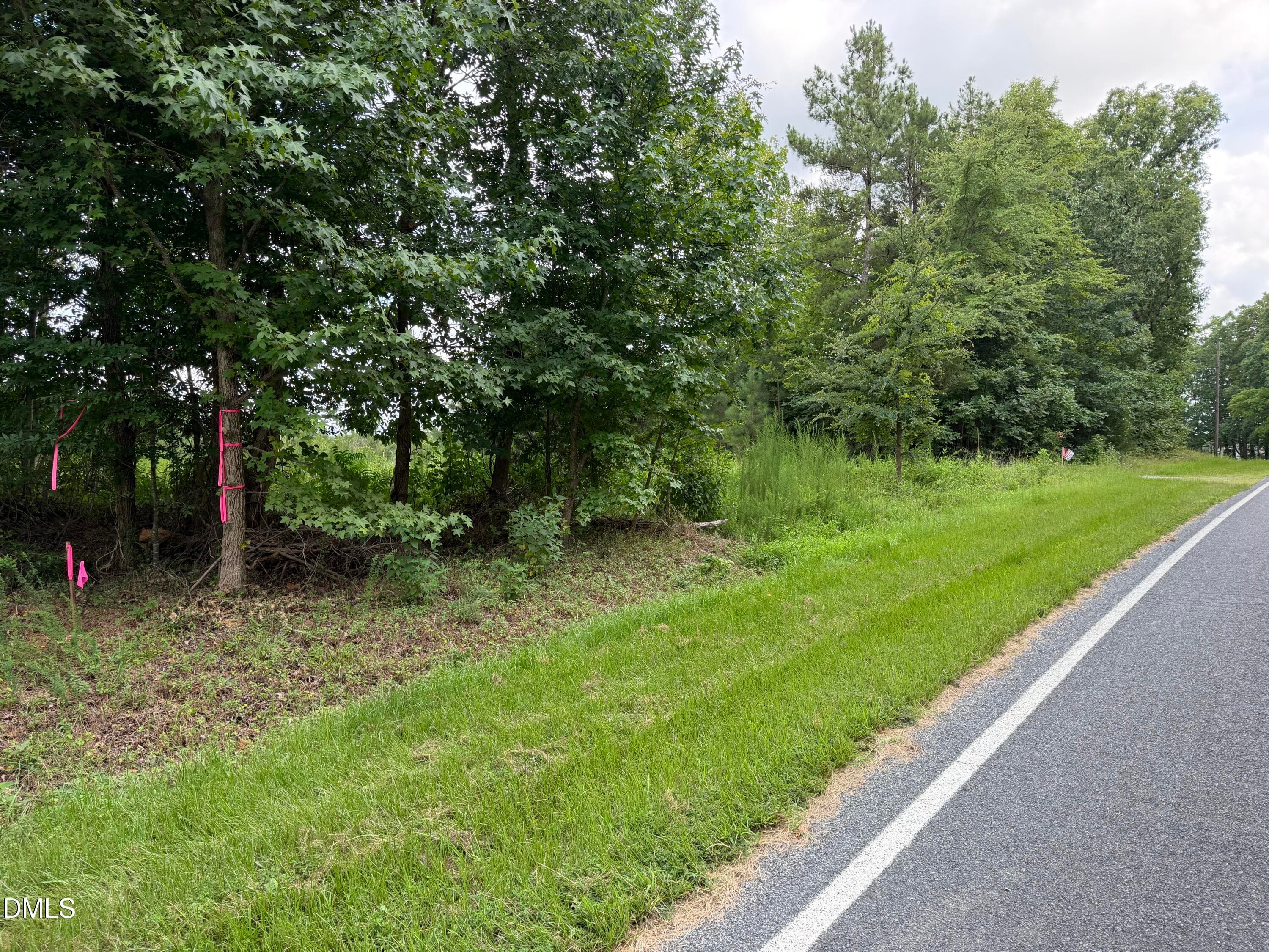 IMG_8901 - 00 Chatham Church Road, Moncure, NC 27559