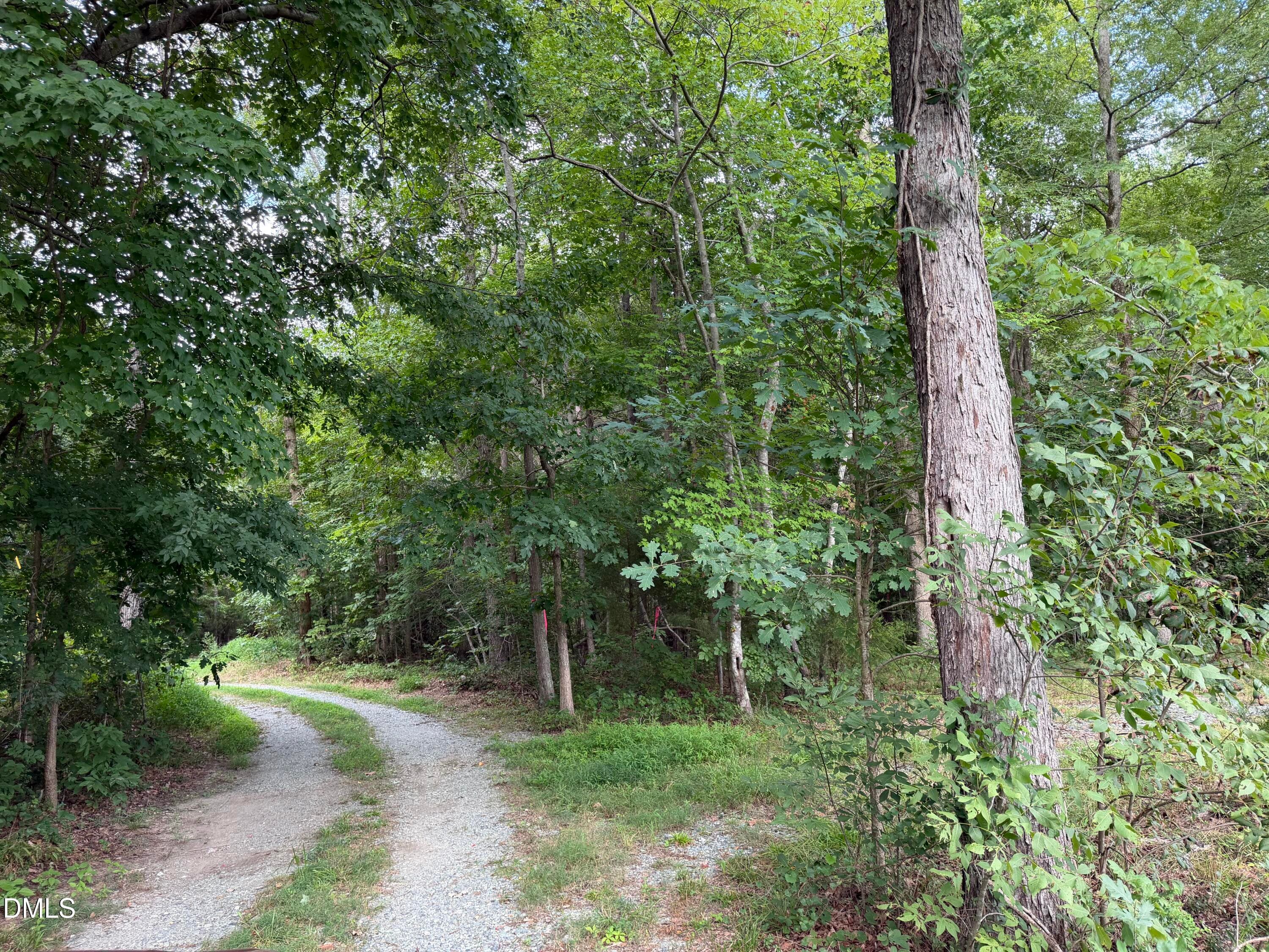 IMG_8905 - 00 Chatham Church Road, Moncure, NC 27559