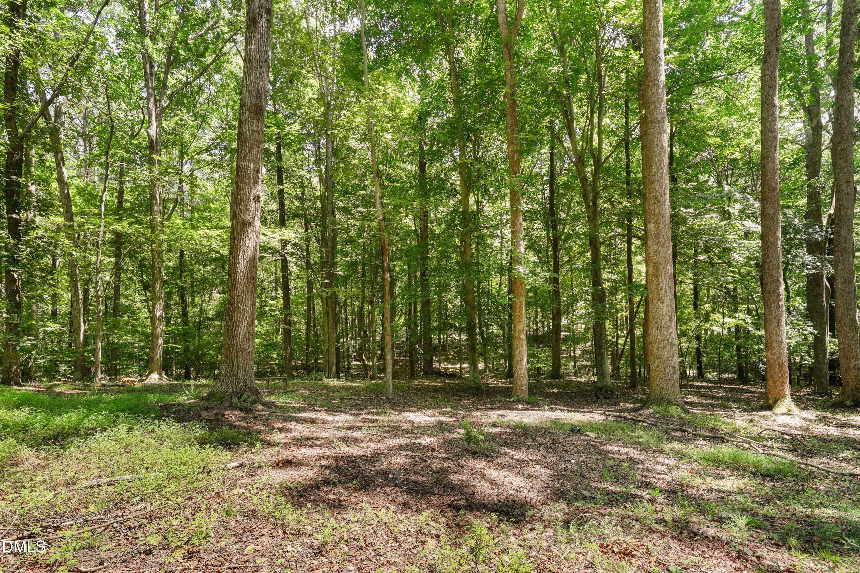 45 - 11800 Doc Arnold Drive, Raleigh, NC 27614, Raleigh