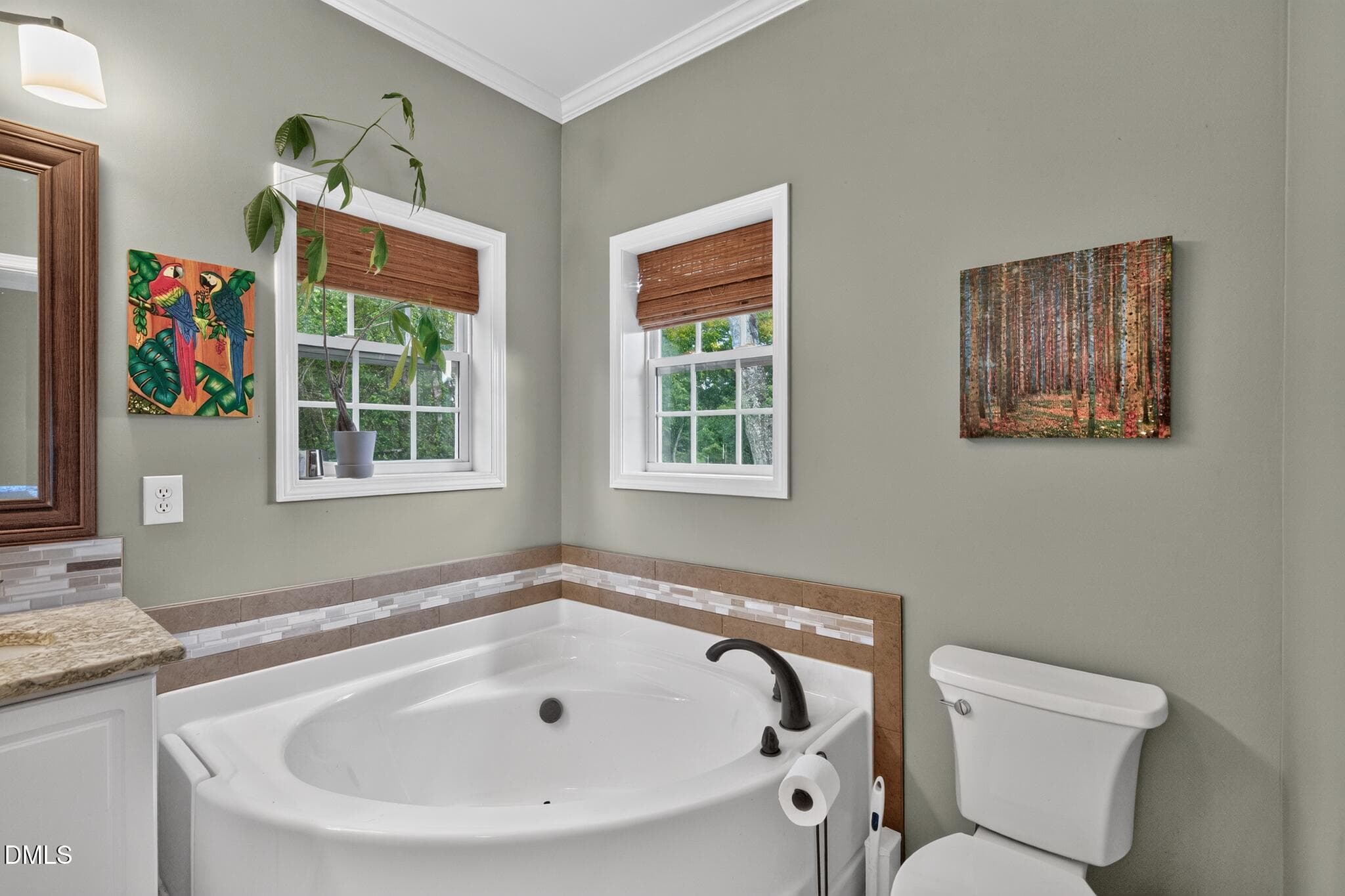 30_15_Briar_Ridge_Drive-Bathroom-0572 - 15 Briar Ridge Drive, Fairview, NC 28730, Fairview