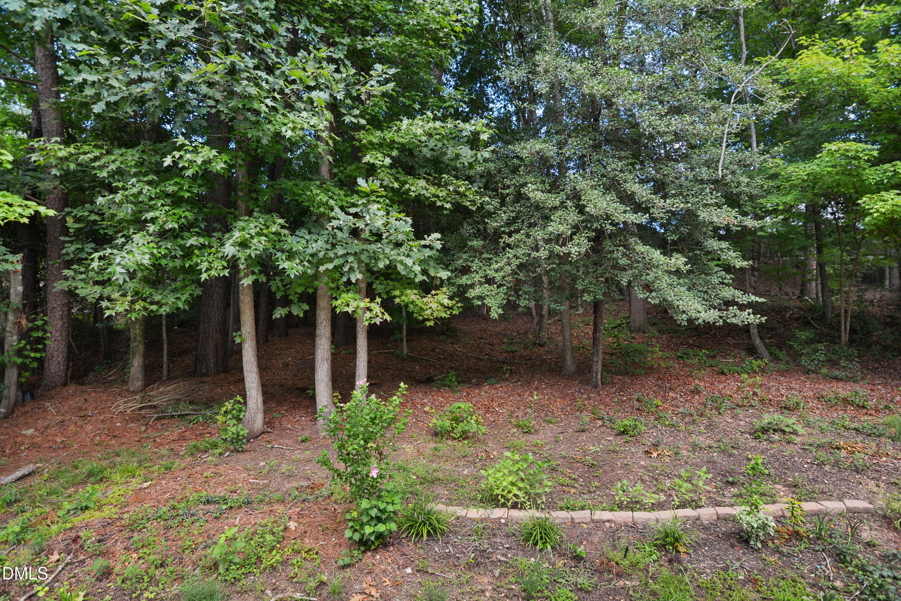 23 - 6901 River Birch Drive, Raleigh, NC 27613, Raleigh