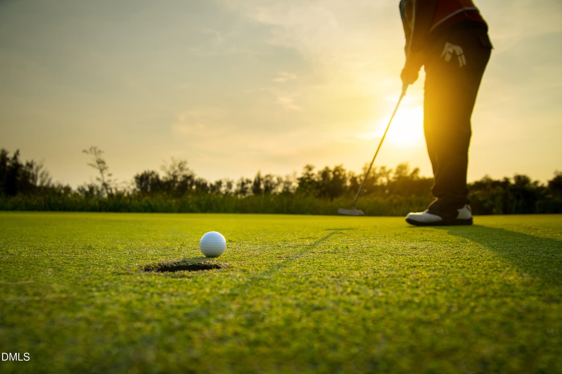 Person putting golf ball with sunset bac - 903 Purple Pear Trail, Willow Springs, NC 27592