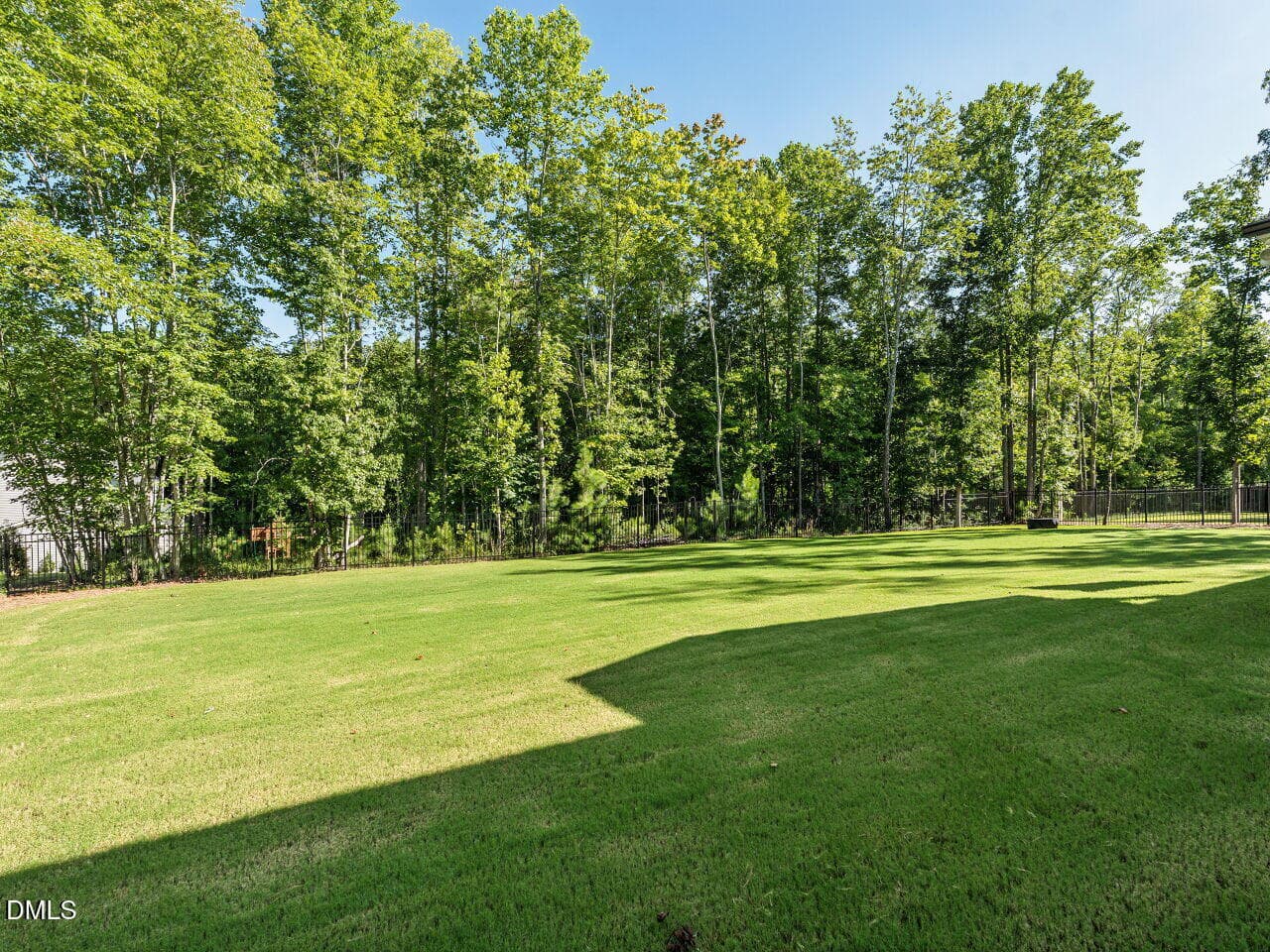 Backyard - 196 W Amber Oak Drive, Selma, NC 27576
