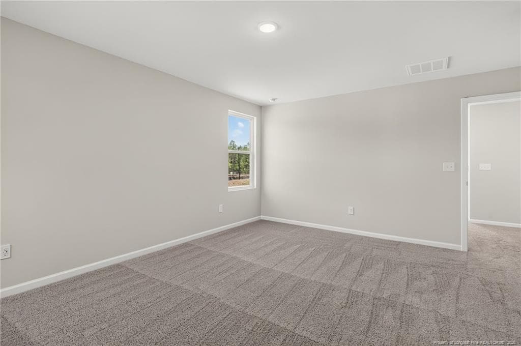 Photo 17 - 211 Phoenix Drive, Bunnlevel, NC 28323