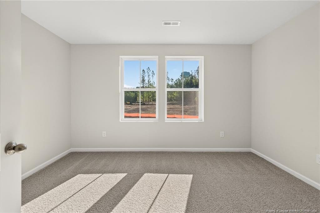 Photo 23 - 211 Phoenix Drive, Bunnlevel, NC 28323