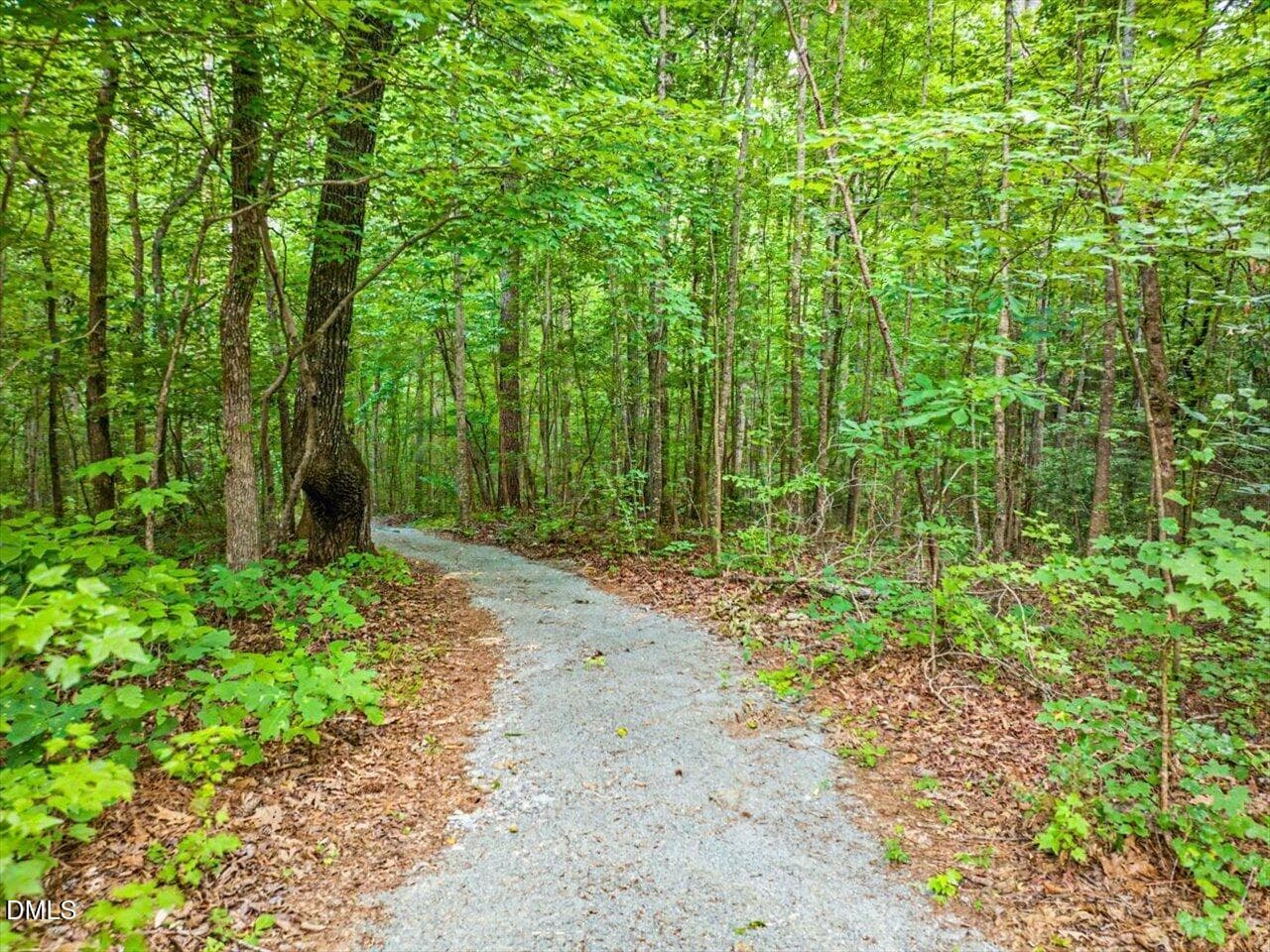 Path to River and Creek - 275 Mill Stone Road Ext., Moncure, NC 27559