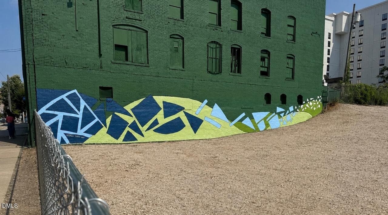 Site Mural - 217 W Martin Street 9 B, Raleigh, NC 27601, Raleigh