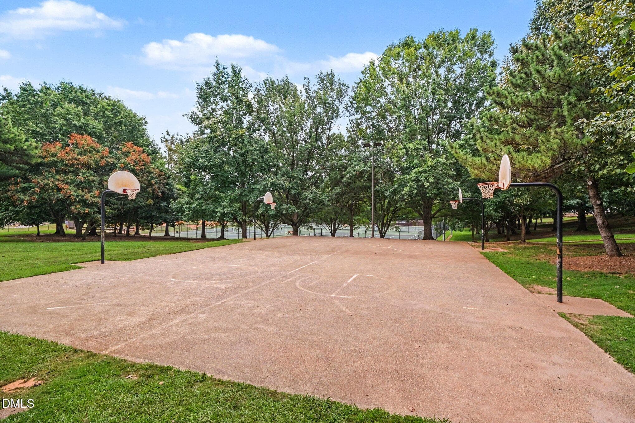 Basketball Courts - 1416 Lions Way, Raleigh, NC 27604, Raleigh