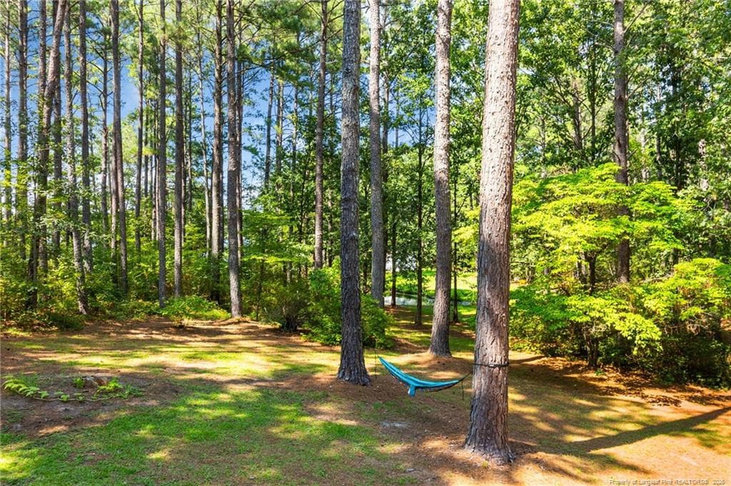 Photo 45 - 16401 Lakeshore Drive, Wagram, NC 28396
