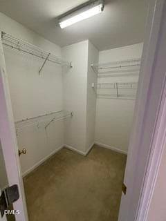IMG_5902 - 1117 Bungalow Park Drive, Apex, NC 27502