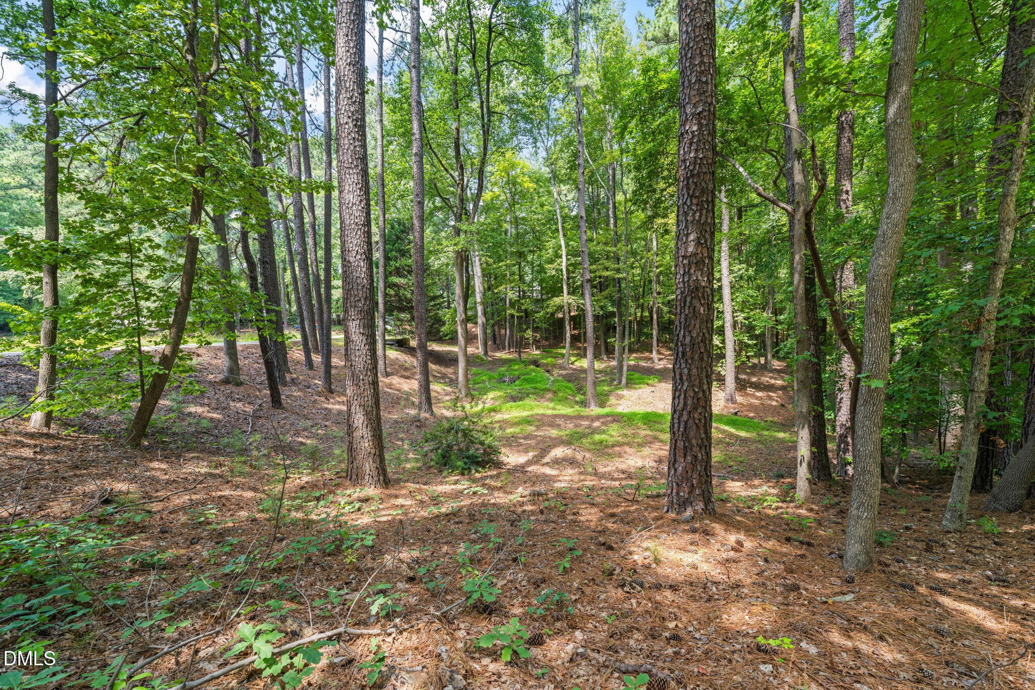 Yard - 1401 Old Trinity Circle, Raleigh, NC 27607, Raleigh