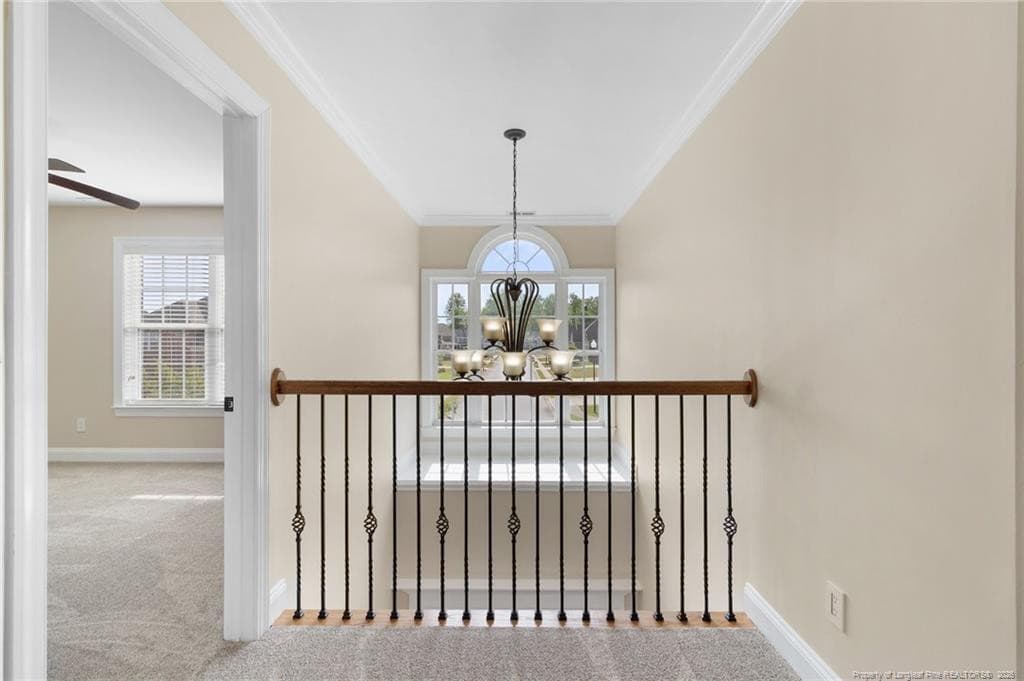 Photo 34 - 3829 Corapeake Drive, Fayetteville, NC 28312, Fayetteville