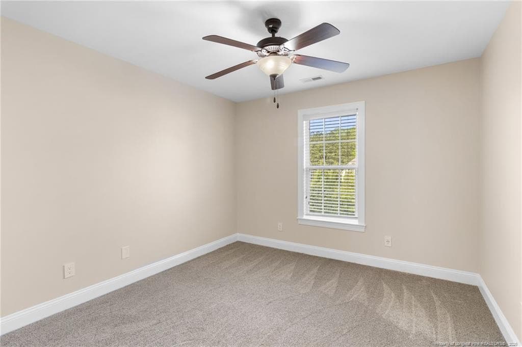 Photo 41 - 3829 Corapeake Drive, Fayetteville, NC 28312, Fayetteville