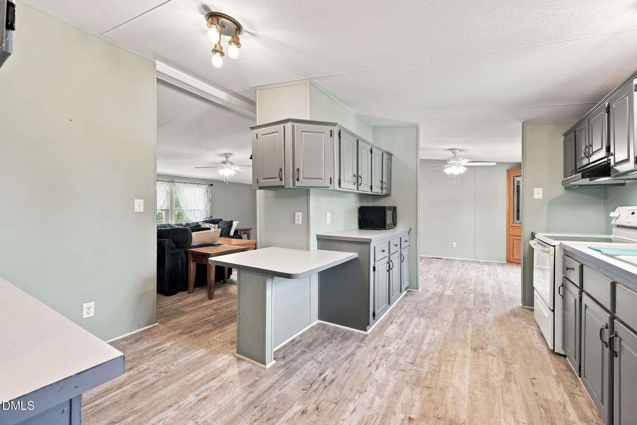 31-web-or-mls-IMG_3051 - 313 Wright Road, Vass, NC 28394, Vass