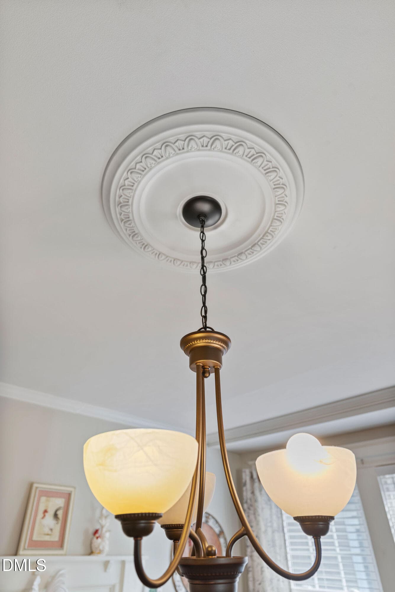 Formal Dining Details - 313 N Breazeale Avenue, Mount Olive, NC 28365, Mount Olive